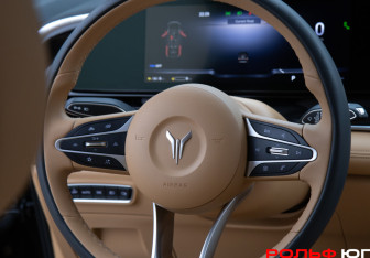 Подержанный автомобиль Voyah Dream 2023 года (15 фото)