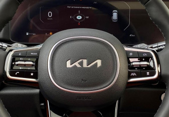 Новый Kia Carnival 2025 (26 фото)