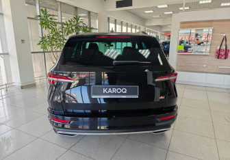 Новый Skoda Karoq 2025 (4 фото)