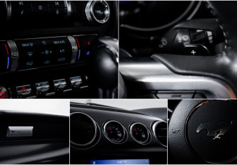 Подержанный автомобиль Ford Mustang Coupe 2017 года (19 фото)