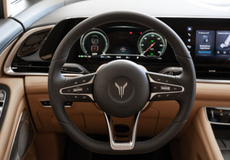 Новый Voyah Dream 2025 (10 фото)