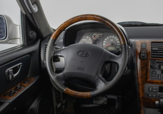 Подержанный автомобиль Hyundai Terracan 2004 года (15 фото)