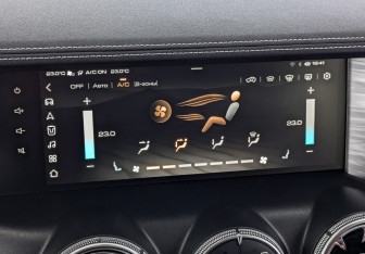 Подержанный автомобиль Tank 300 2023 года (28 фото)