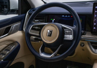 Подержанный автомобиль Tank 500 2023 года (15 фото)