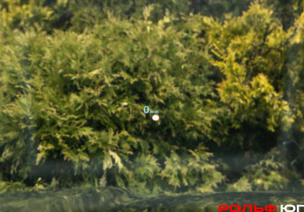 Подержанный автомобиль Tank 500 2023 года (17 фото)