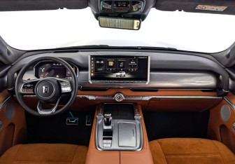 Подержанный автомобиль Tank 700 2024 года (14 фото)