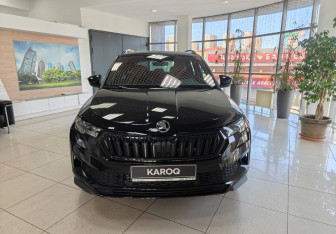 Новый Skoda Karoq 2025 (8 фото)