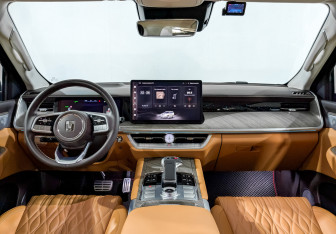 Подержанный автомобиль Tank 500 2023 года (12 фото)