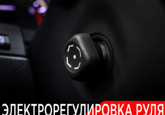 Подержанный автомобиль Lexus RX 2016 года (22 фото)