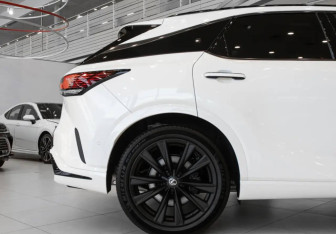 Новый Lexus RX 2025 (6 фото)