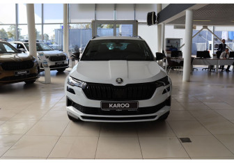 Новый Skoda Karoq 2025 (8 фото)