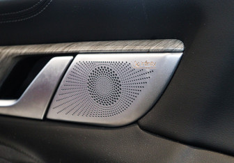 Подержанный автомобиль Tank 500 2023 года (23 фото)