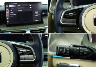 Подержанный автомобиль Tank 500 2022 года (22 фото)