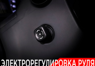 Подержанный автомобиль Lexus RX 2013 года (20 фото)