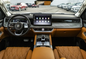 Подержанный автомобиль Tank 500 2024 года (19 фото)