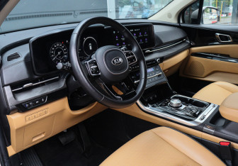 Подержанный автомобиль Kia Carnival 2020 года (16 фото)