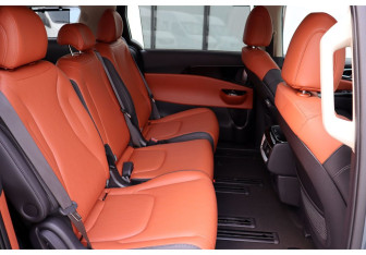 Новый Kia Carnival 2025 (19 фото)