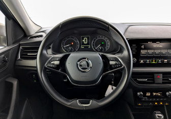 Подержанный автомобиль Skoda Rapid Liftback 2021 года (21 фото)