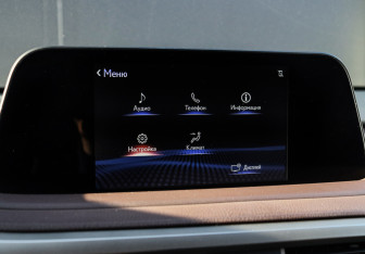 Подержанный автомобиль Lexus RX 2021 года (19 фото)