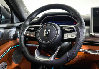 Подержанный автомобиль Tank 700 2024 года (14 фото)