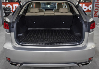 Подержанный автомобиль Lexus RX 2022 года (10 фото)