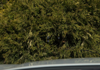 Новый Haval F7x 2026 (19 фото)