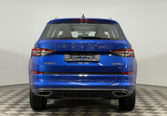 Новый Skoda Kodiaq 2024 (8 фото)
