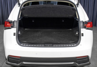 Подержанный автомобиль Lexus NX 2018 года (10 фото)