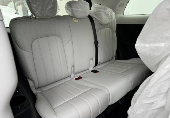 Новый Voyah Dream 2025 (12 фото)