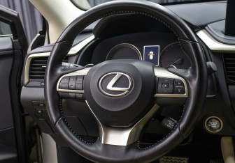 Подержанный автомобиль Lexus RX 2022 года (17 фото)
