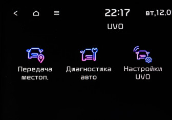Подержанный автомобиль Kia Carnival 2019 года (23 фото)