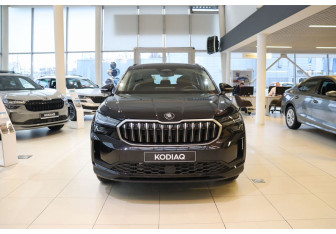 Новый Skoda Kodiaq 2025 (9 фото)