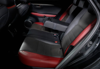 Подержанный автомобиль Lexus NX 2018 года (10 фото)