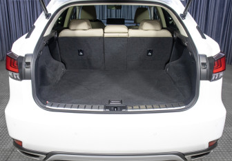 Подержанный автомобиль Lexus RX 2021 года (10 фото)