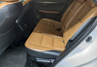 Подержанный автомобиль Lexus NX 2018 года (16 фото)