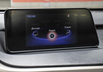 Подержанный автомобиль Lexus RX 2017 года (19 фото)