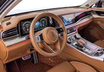 Подержанный автомобиль Hongqi H9 2023 года (15 фото)