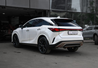 Подержанный автомобиль Lexus RX 2023 года (6 фото)