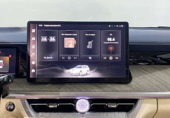 Подержанный автомобиль Tank 500 2023 года (17 фото)