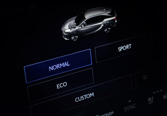 Подержанный автомобиль Lexus RX 2025 года (18 фото)