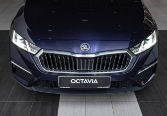 Новый Skoda Octavia Liftback 2024 (3 фото)