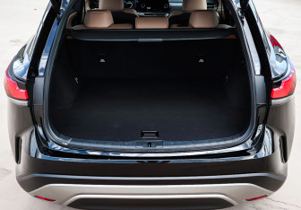 Новый Lexus RX 2025 (9 фото)