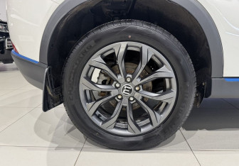 Подержанный автомобиль Evolute i-JOY 2023 года (18 фото)