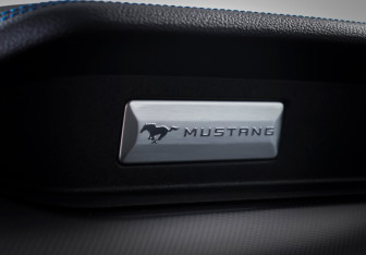 Подержанный автомобиль Ford Mustang Coupe 2022 года (17 фото)