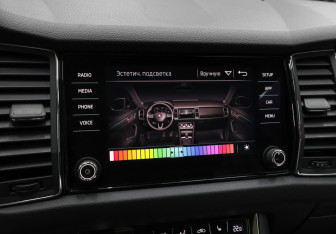 Подержанный автомобиль Skoda Kodiaq 2019 года (20 фото)