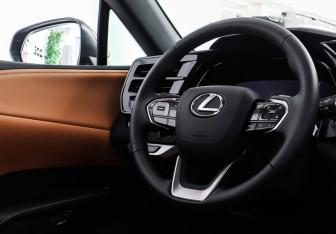 Новый Lexus RX 2025 (13 фото)