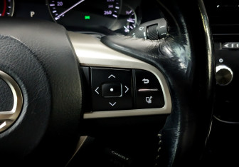 Подержанный автомобиль Lexus RX 2016 года (28 фото)