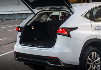 Подержанный автомобиль Lexus NX 2018 года (21 фото)