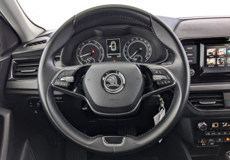 Подержанный автомобиль Skoda Rapid Liftback 2022 года (22 фото)