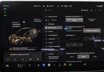 Подержанный автомобиль Tesla Model 3 2021 года (15 фото)